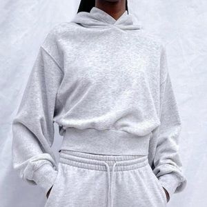 Aritzia perfect shrunken hoodie